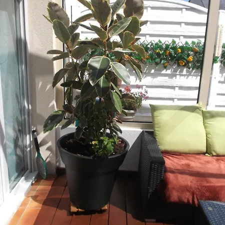 Les Troenes Dom wakacyjny