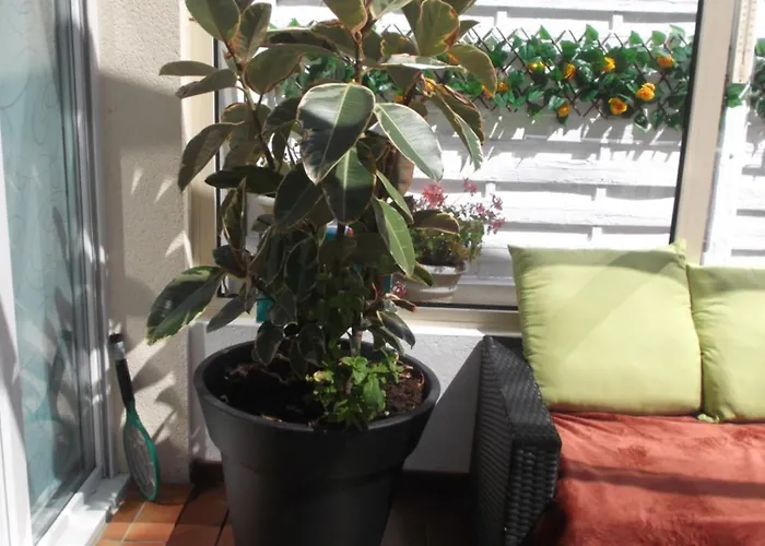 Les Troenes Casa vacanze