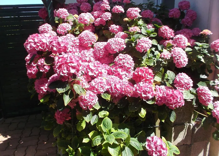 Les Troenes Casa de Férias